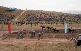 Ұзынағашта ат жарысы - фото 70
