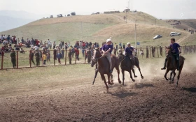 Ұзынағашта ат жарысы - фото 75