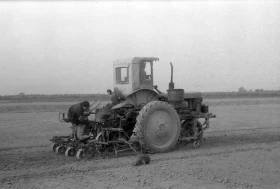 Егін жинау - жүгері алқаптары - фото 7