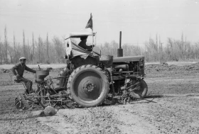 Егін жинау - жүгері алқаптары - фото 10