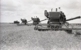 Егін жинау - күріш алқаптары - фото 5