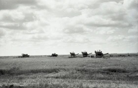 Егін жинау - күріш алқаптары - фото 6