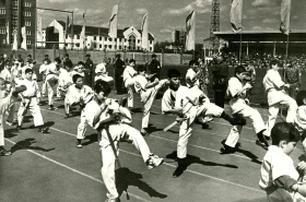 Соревнования и показательные выступления по каратэ - фото 1