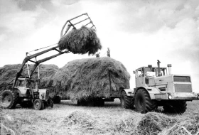 Ауыл шаруашылығы құрылымдарының егін жинау науқаны - фото 2