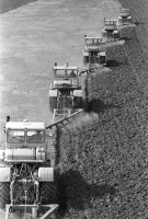 Ауыл шаруашылығы құрылымдарының егін жинау науқаны - фото 3