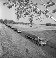 Ауыл шаруашылығы құрылымдарының егін жинау науқаны - фото 5