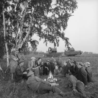 Ауыл шаруашылығы құрылымдарының егін жинау науқаны - фото 9