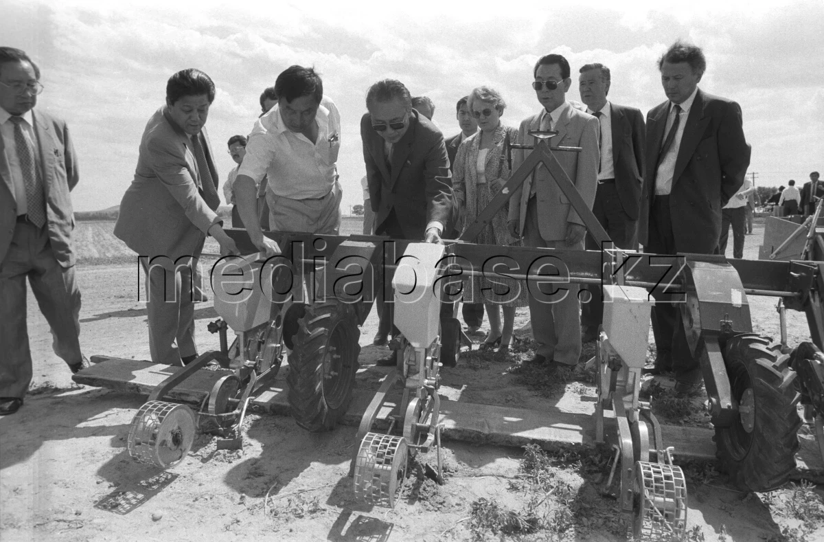 Ауыл шаруашылығы құрылымдарының егін жинау науқаны - фото 1