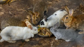 Сейсмологиялық байқау және зерттеулер ұлттық ғылыми орталығы - фото 7