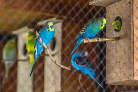 Сейсмологиялық байқау және зерттеулер ұлттық ғылыми орталығы - фото 17