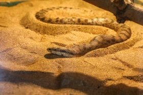 Сейсмологиялық байқау және зерттеулер ұлттық ғылыми орталығы - фото 20