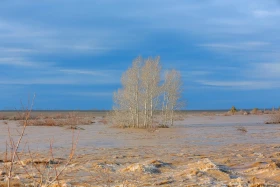 Атбасардағы су тасқыны - фото 3