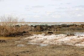 Как Жибек жолы защищают от большой воды - фото 41