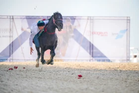 Жамбы атудан Азия чемпионаты - фото 5