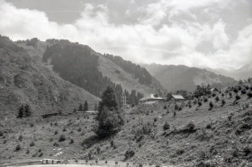 Санаторий Турксиб: База отдыха в предгорьях близ Алма-Аты - фото 17