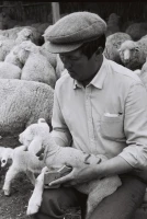 Қызыл Қайрат ауылындағы  тұрмыс-тіршілік - фото 7