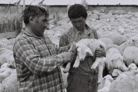 Қызыл Қайрат ауылындағы  тұрмыс-тіршілік - фото 12