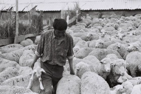 Қызыл Қайрат ауылындағы  тұрмыс-тіршілік - фото 13