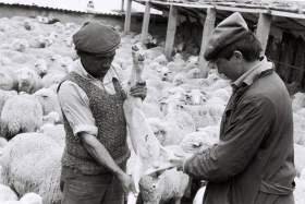 Қызыл Қайрат ауылындағы  тұрмыс-тіршілік - фото 15