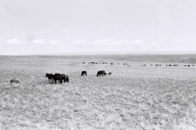 Қызыл Қайрат ауылындағы  тұрмыс-тіршілік - фото 16