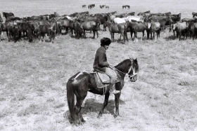 Қызыл Қайрат ауылындағы  тұрмыс-тіршілік - фото 27