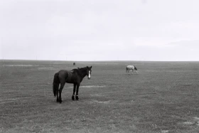 Қызыл Қайрат ауылындағы  тұрмыс-тіршілік - фото 28