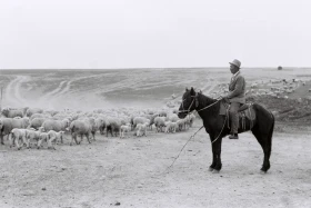 Қызыл Қайрат ауылындағы  тұрмыс-тіршілік - фото 30