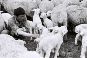 Қызыл Қайрат ауылындағы  тұрмыс-тіршілік - фото 34