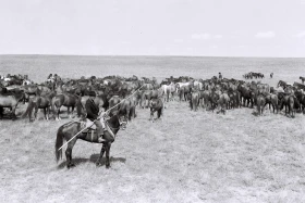 Қызыл Қайрат ауылындағы  тұрмыс-тіршілік - фото 38