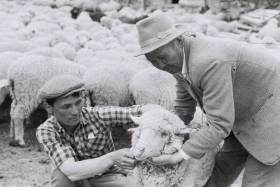 Қызыл Қайрат ауылындағы  тұрмыс-тіршілік - фото 39