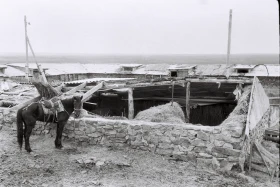 Қызыл Қайрат ауылындағы  тұрмыс-тіршілік - фото 41