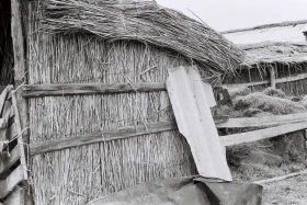 Қызыл Қайрат ауылындағы  тұрмыс-тіршілік - фото 45