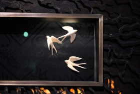 Санкт-Петербургте Темірлан Тілестің «ӨМІР» көрмес - фото 4