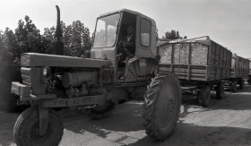 Қазақстанда мақта шаруашылығын дамыту - фото 9