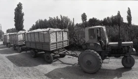 Қазақстанда мақта шаруашылығын дамыту - фото 10