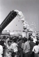 Қазақстанда мақта шаруашылығын дамыту - фото 11