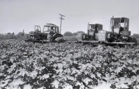 Қазақстанда мақта шаруашылығын дамыту - фото 13