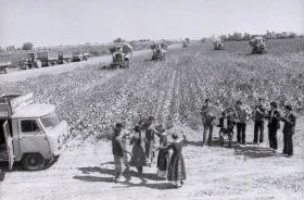 Қазақстанда мақта шаруашылығын дамыту - фото 17