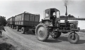 Қазақстанда мақта шаруашылығын дамыту - фото 18