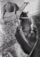 Кадрлардағы Тарихи Арал - фото 2