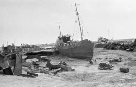 Кадрлардағы Тарихи Арал - фото 19