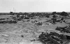 Кадрлардағы Тарихи Арал - фото 23