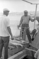 Кадрлардағы Тарихи Арал - фото 34