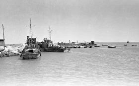 Кадрлардағы Тарихи Арал - фото 38