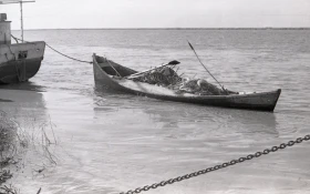 Кадрлардағы Тарихи Арал - фото 39