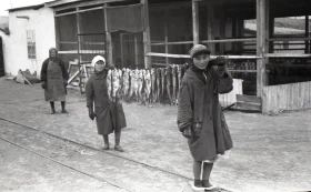 Кадрлардағы Тарихи Арал - фото 48