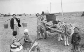 Кадрлардағы Тарихи Арал - фото 50