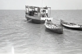 Кадрлардағы Тарихи Арал - фото 56