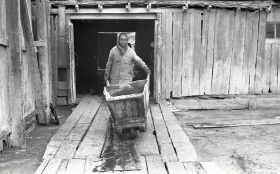 Кадрлардағы Тарихи Арал - фото 60