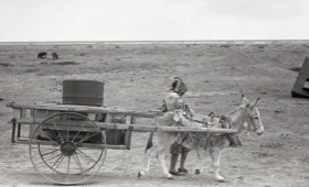 Кадрлардағы Тарихи Арал - фото 61